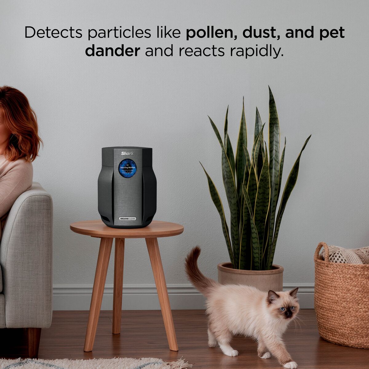 Shark BreatheClear Compact Air Purifier with NeverChange6 - Charcoal - HP062UKBK
