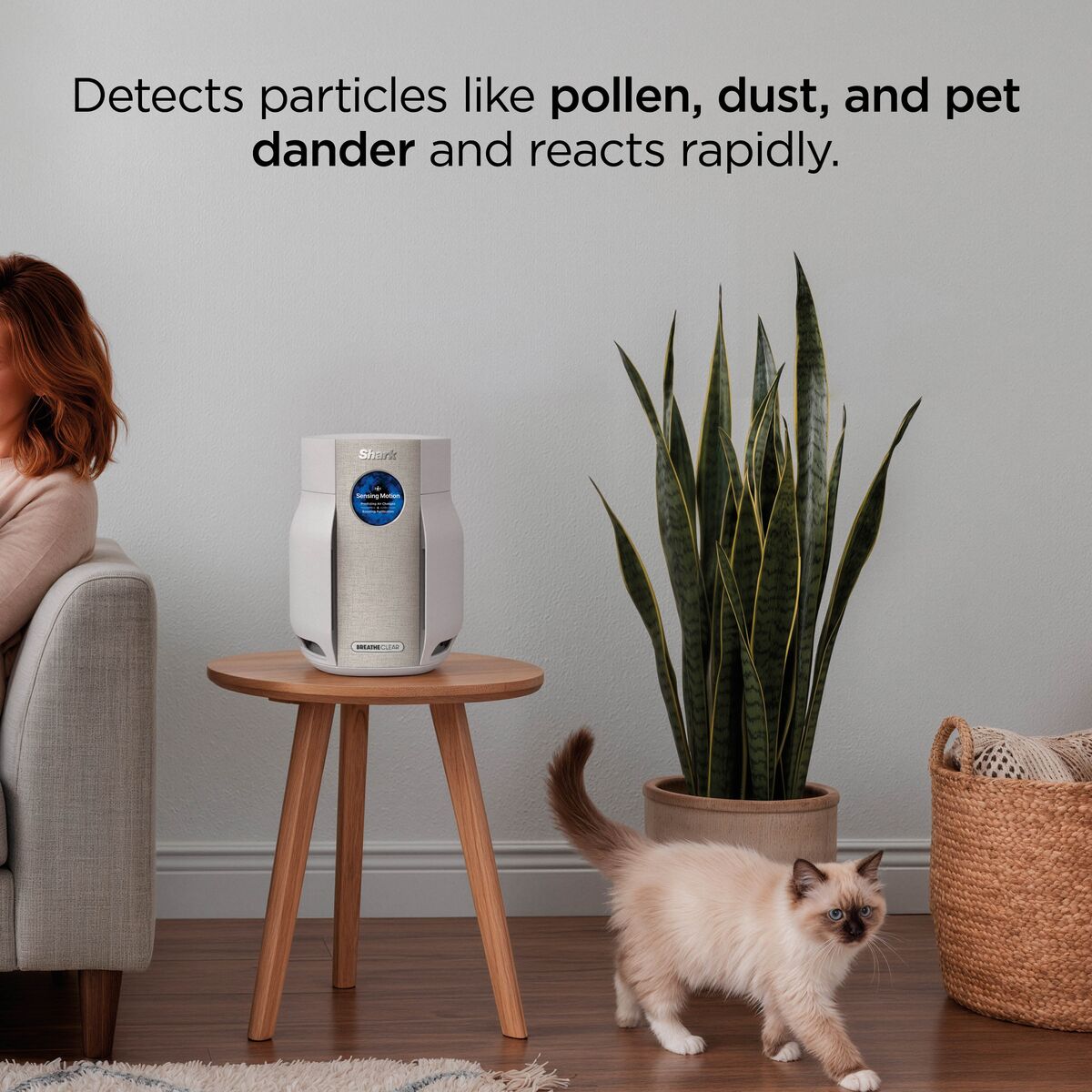 Shark BreatheClear Compact Air Purifier with NeverChange6 - Dove - HP062UK