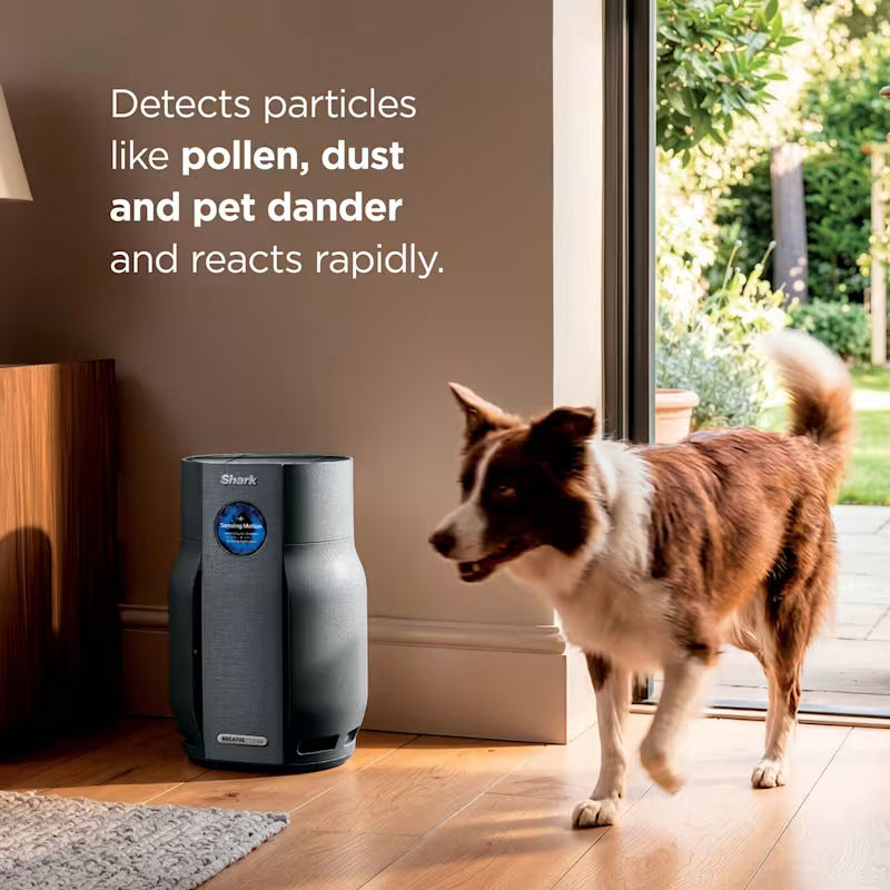 Shark BreatheClear with NeverChange6 Air Purifier - Charcoal HP162UKBK
