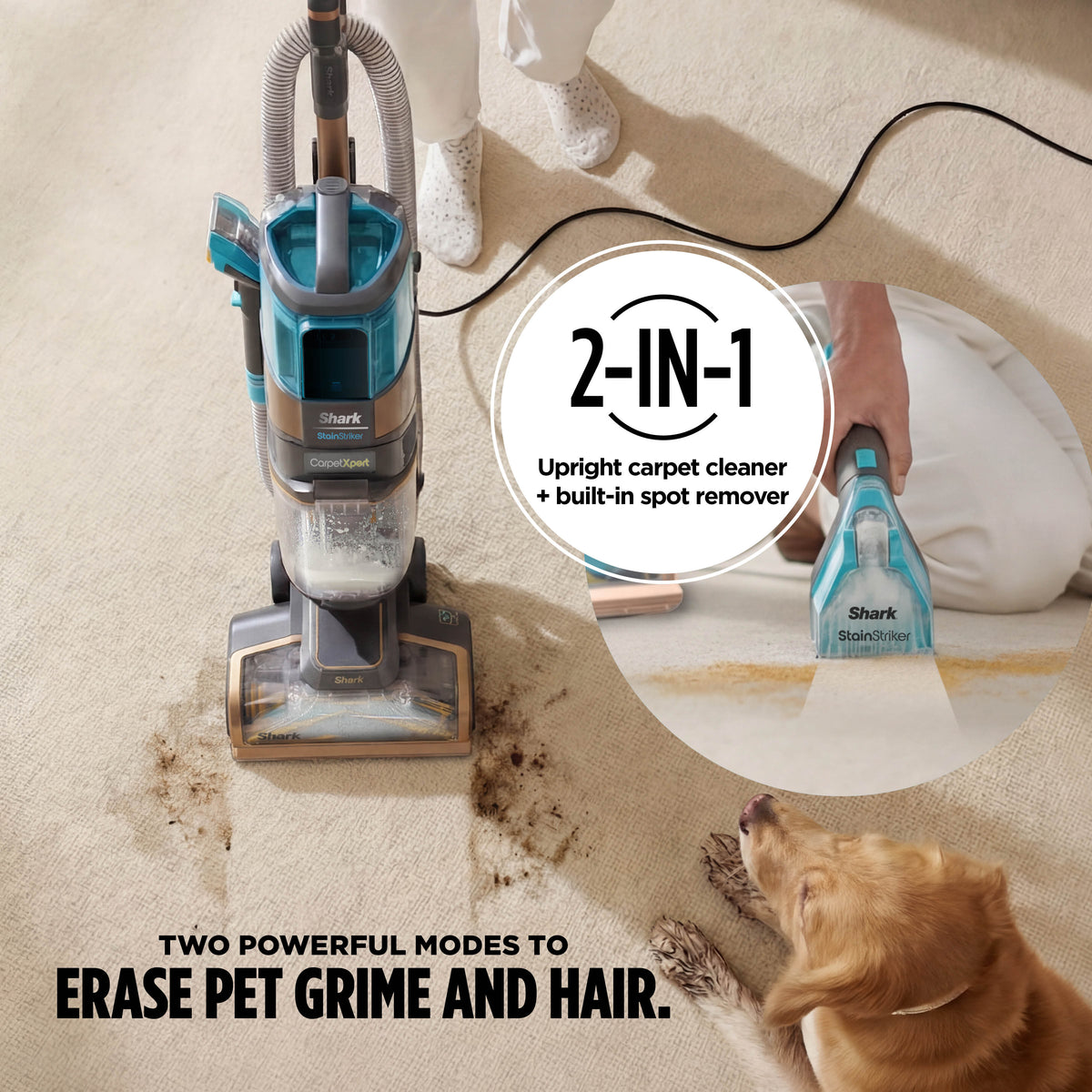 Shark CarpetXpert HairPro Deep Carpet Cleaner with Built-In StainStriker - Copper EX300UKC