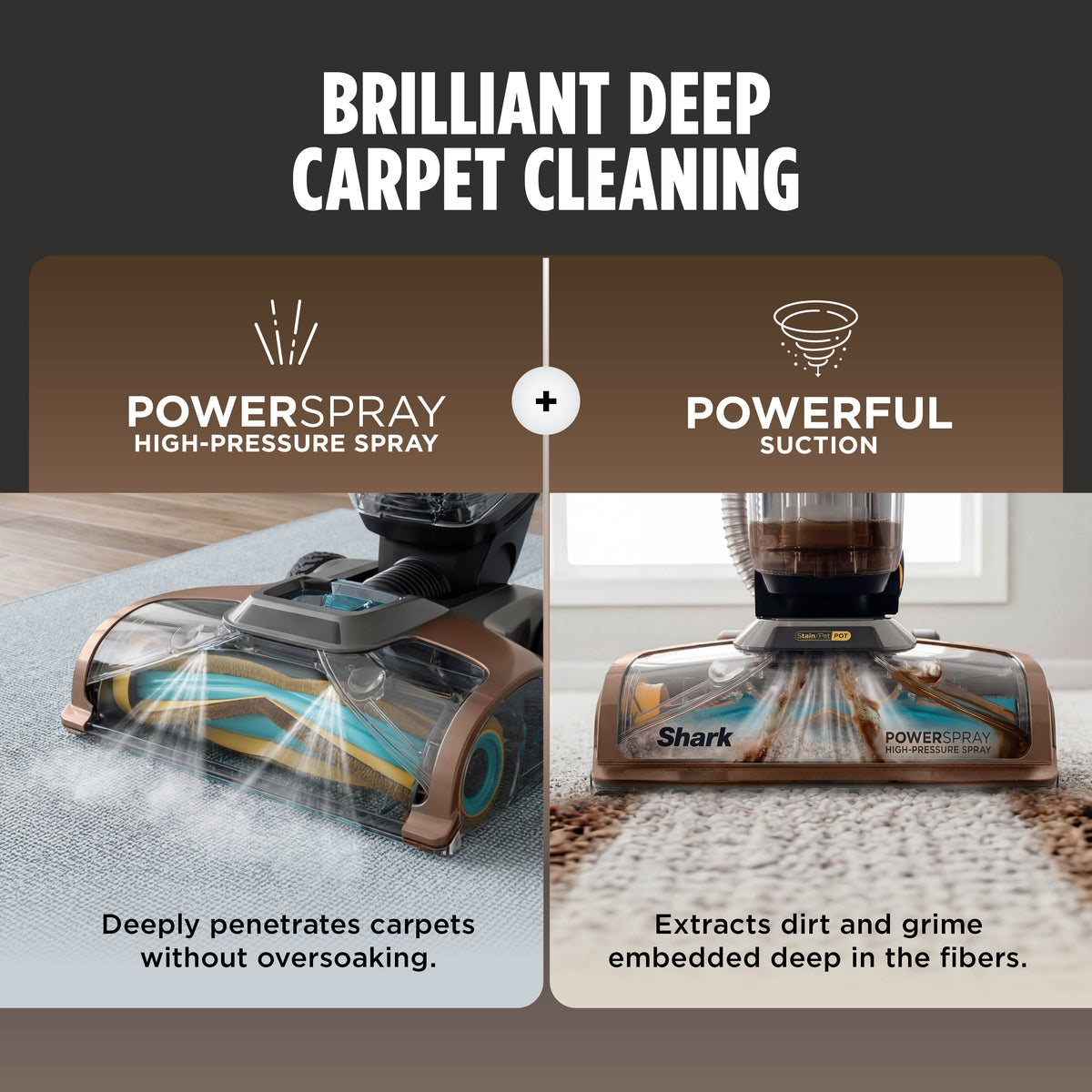 Shark CarpetXpert HairPro Deep Carpet Cleaner with Built-In StainStriker - Copper EX300UKC