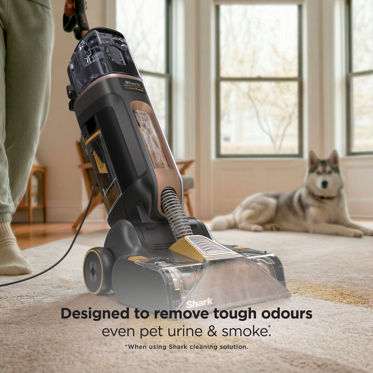 Shark CarpetForce HairPro Upright Carpet Cleaner EX550UKT